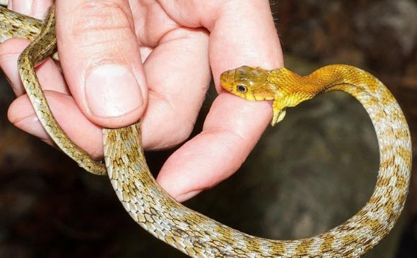 2025-03-25_15-59-53.jpg.11