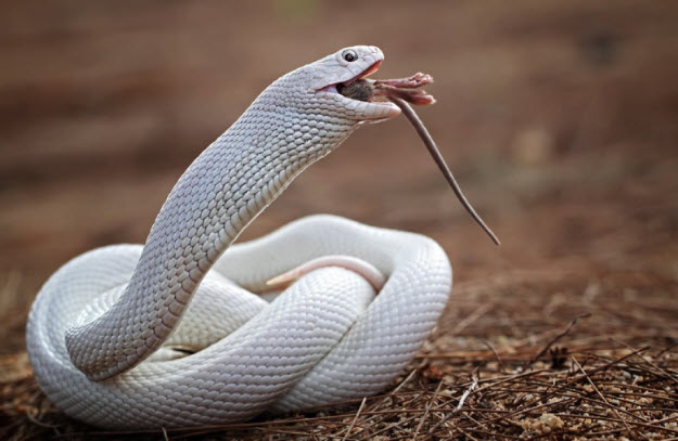 2025-03-26_08-11-00.jpg.1