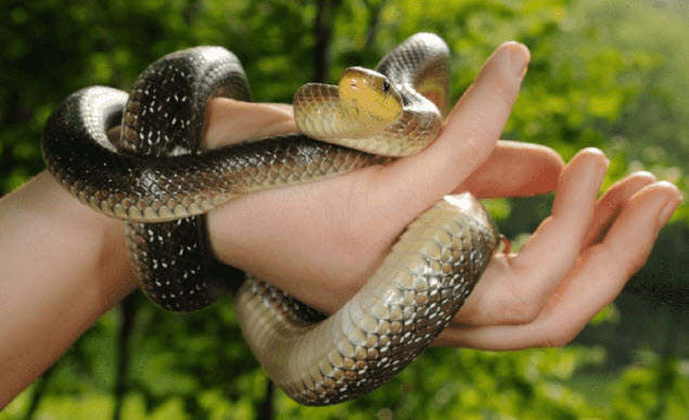 2025-03-30_17-53-05.jpg.1