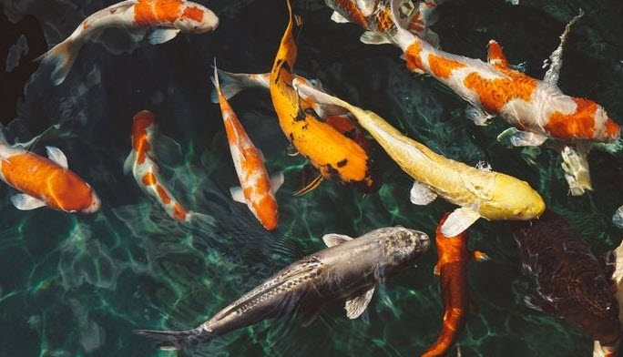 2025-04-04_23-26-30.jpg.10