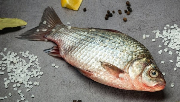 2025-04-06_12-23-52.jpg.2