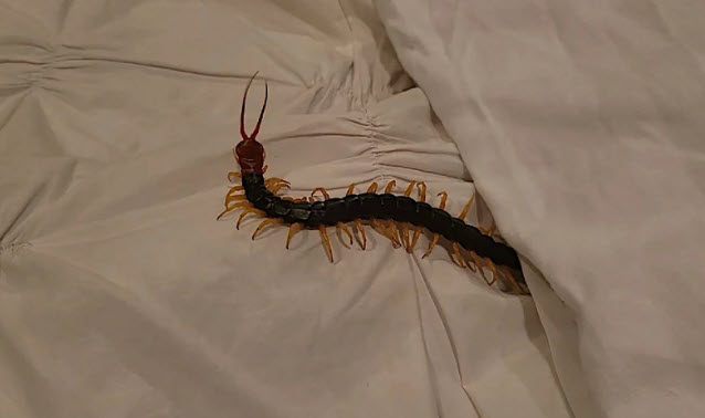 2025-04-18_08-27-53.jpg.2