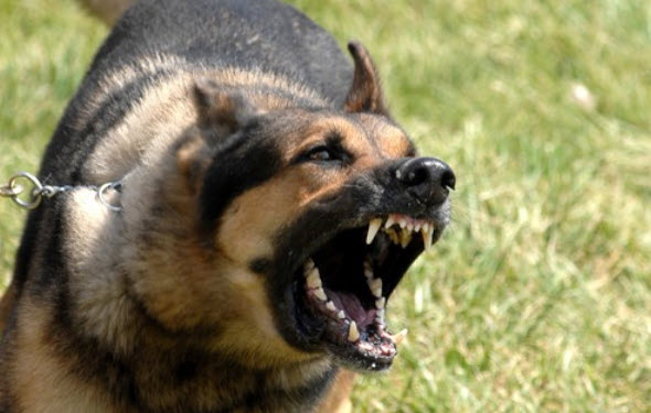 2025-04-23_14-45-02.jpg.3