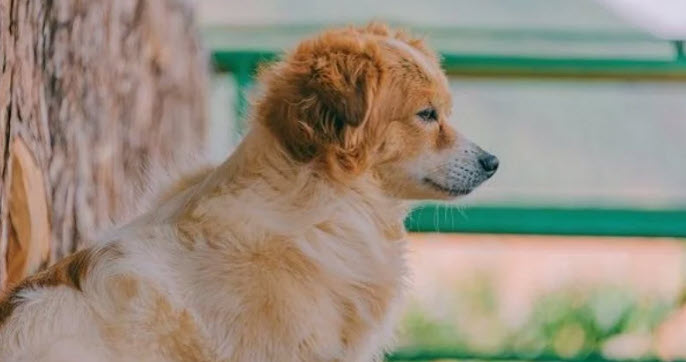 2025-04-30_22-42-18.jpg.1