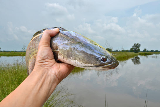 2025-05-04_19-25-32.jpg.1