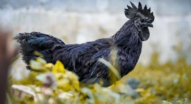 2025-05-07_20-01-17.jpg.3