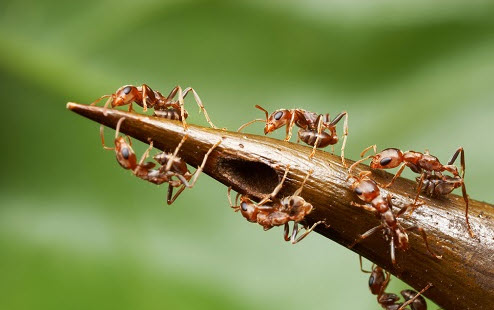 2025-05-08_21-49-29.jpg.1