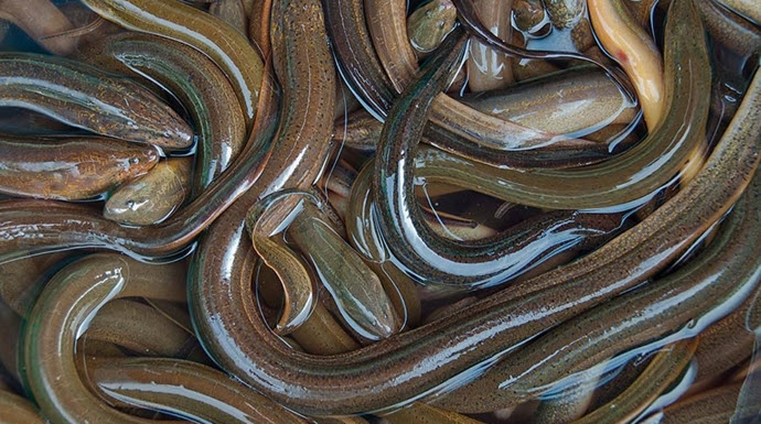 2025-05-09_22-09-01.jpg.1