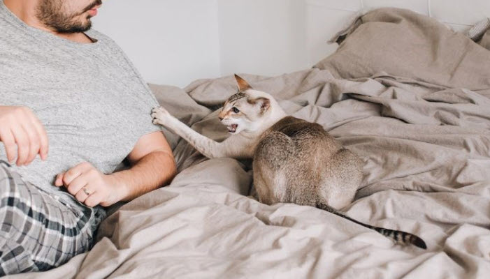 2025-05-10_21-32-51.jpg.4