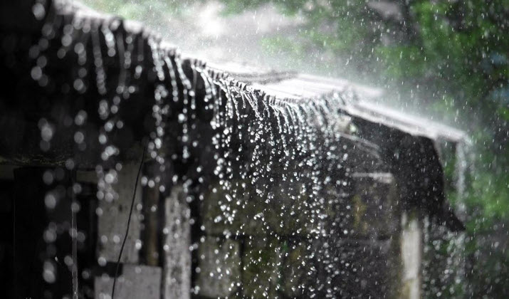 nằm mơ thấy trời mưa ý nghĩa thanh lọc và chuyển hóa