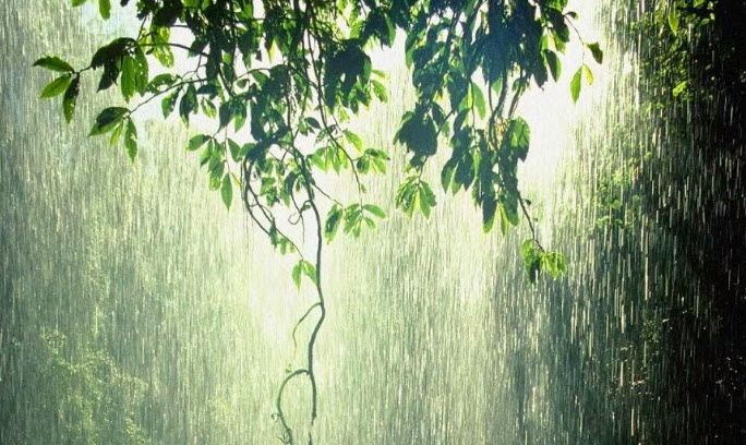 chiêm bao thấy trời mưa kèm nắng dấu hiệu cân bằng trở lại