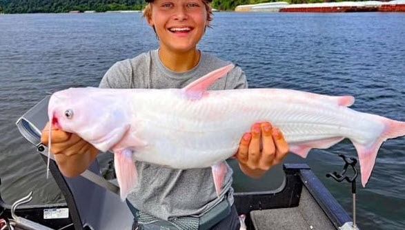 nằm mơ bắt được cá