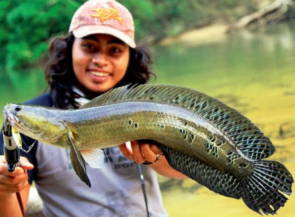 nằm mơ bắt được cá