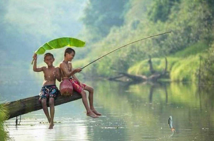 nằm mơ câu được cá