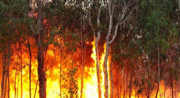 nằm mơ thấy dập lửa