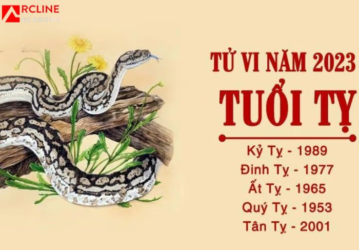 Tổng hợp yếu tố chiêm nghiệm cho năm 2023 của Đinh Tỵ 1977