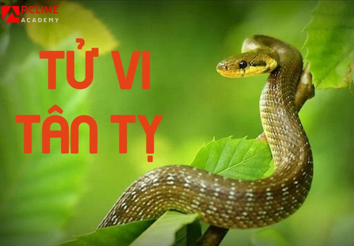 Thiên can - địa chi của Tân Tỵ dưới góc nhìn biểu tượng văn hoá