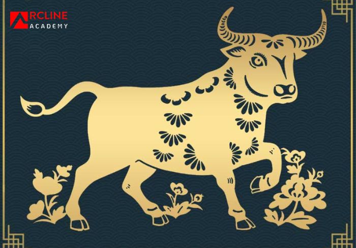 Môi trường bền vững